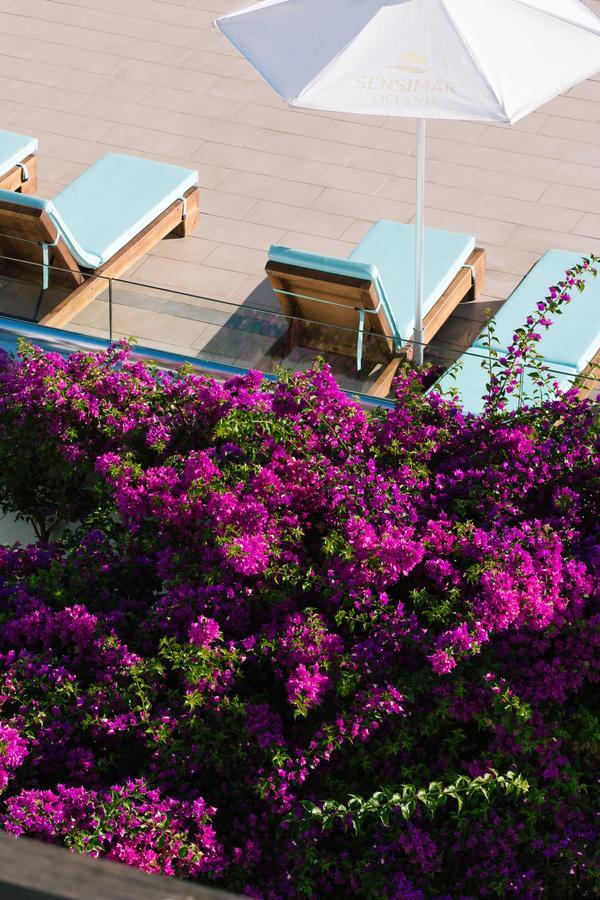 Oceanis Beach & Spa Resort Psalidi  Bagian luar foto